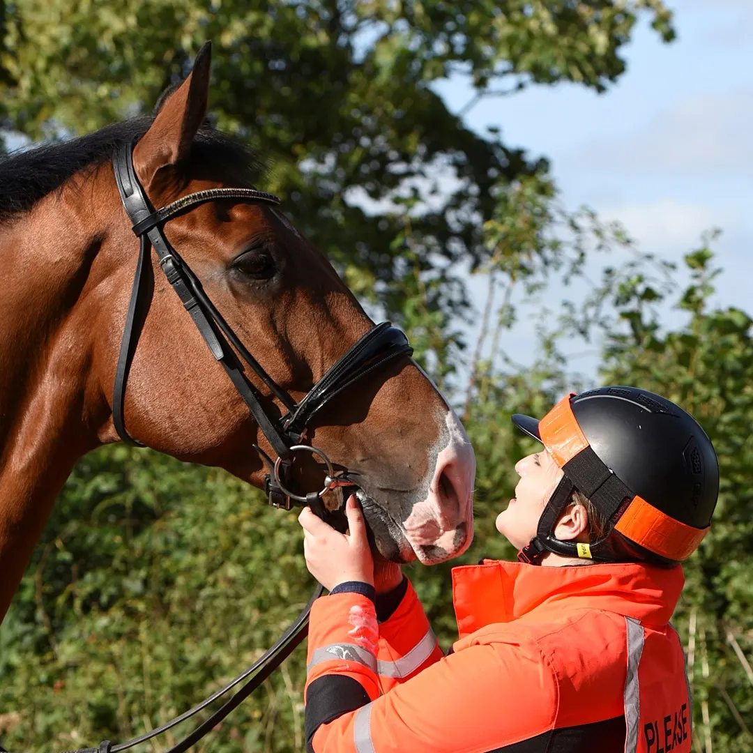 Equisafety High Visibility Hatband